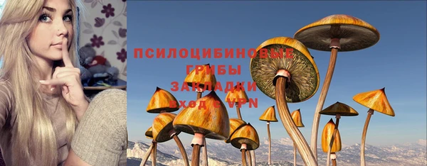 прущий лед Богородск